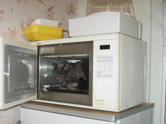 Зображення